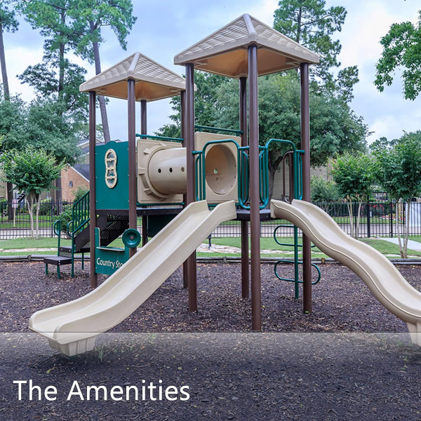 Features & Amenities